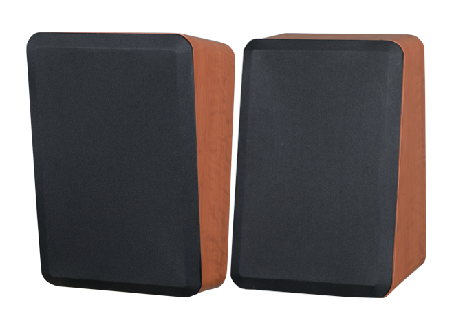 MX5 Professional Speech Loudspeaker
