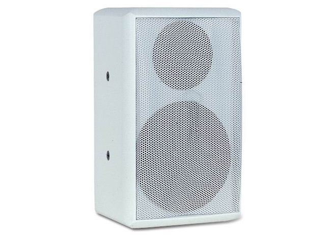 M65 Professional Full-Range Loudspeaker