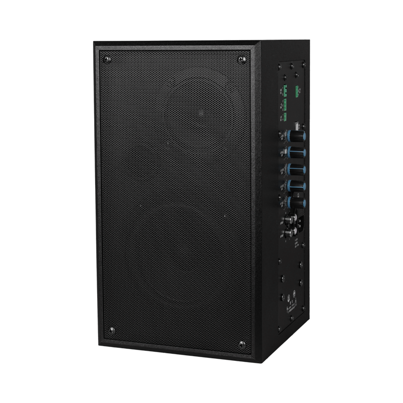 TPM910C Teaching Active Speaker